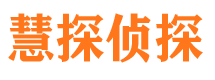 汝阳市侦探公司